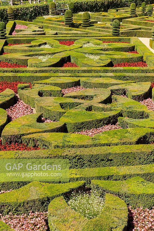 The Cross Garden at the Chateau de Villandry, Loire Valley, France. A UNESCO World Heritage Site