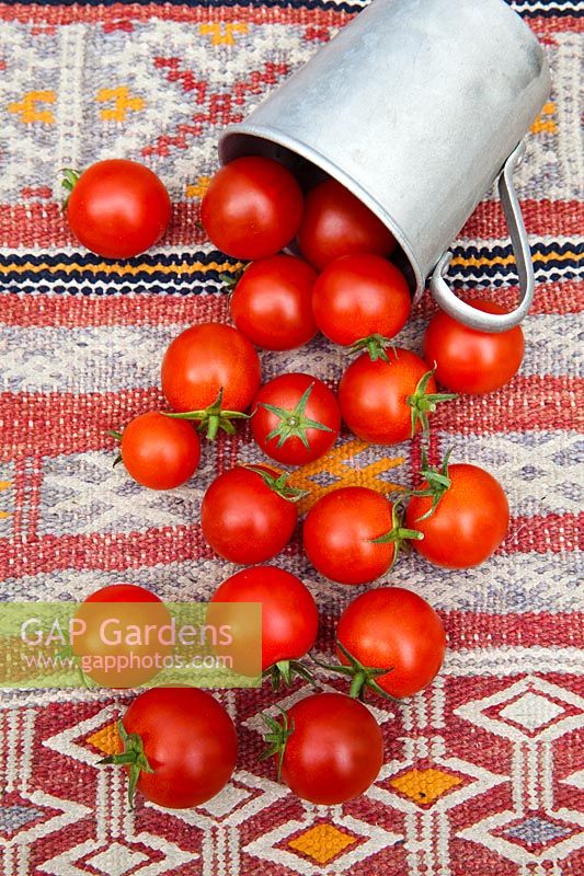 Cherry tomatoes spilling out of an old tin jug
