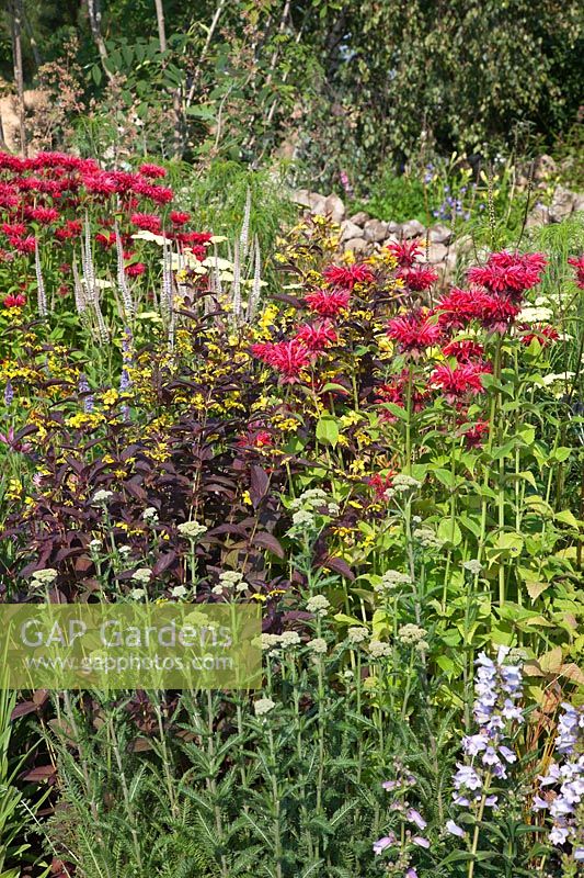 The Stockman's Retreat garden designed by Chris Beardshaw at the RHS Hampton Court Flower Show 2011