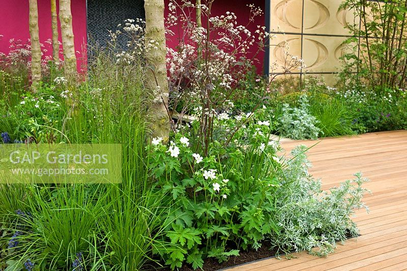 Contemporary garden with wooden decking, soft planting. The Brewin Dolphin Garden, designer Robert Myers, Chelsea Flower Show