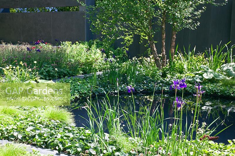 A garden pond surrounded by planting of perennials, grasses and ferns and a tree