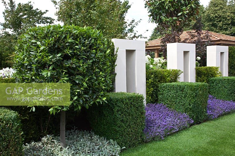Formal contemporary garden with white stone arches and cube shaped Bay Tree and Box Buxus with Lavandula - Lavender
