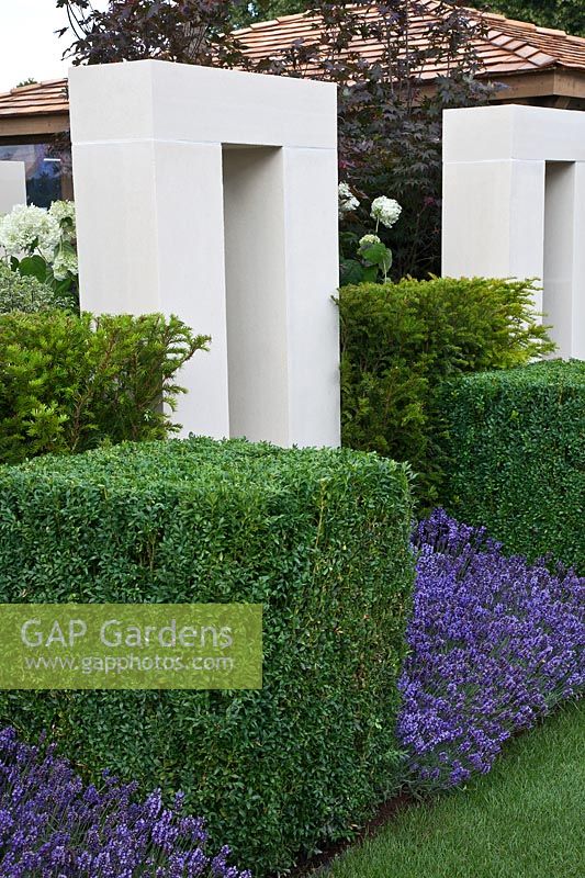 Formal contemporary garden with white stone arch and Buxus - Box cube with Lavandula - Lavender