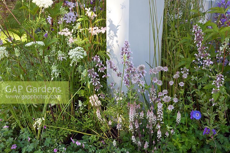 Pale pink and white perennial planting combination surrounding a pillar in a contemporary garden