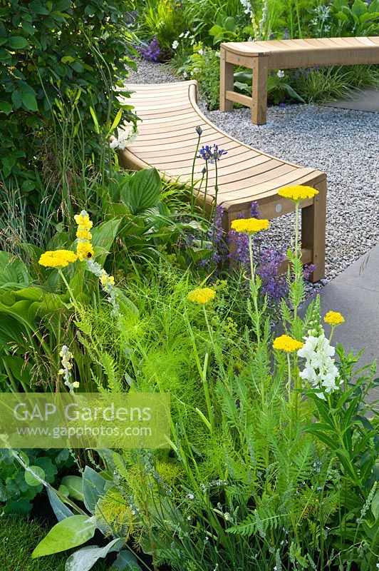 Contemporary garden with gravel path and curved wooden benches. Designers Catherine Chenery Barbara Harfleet