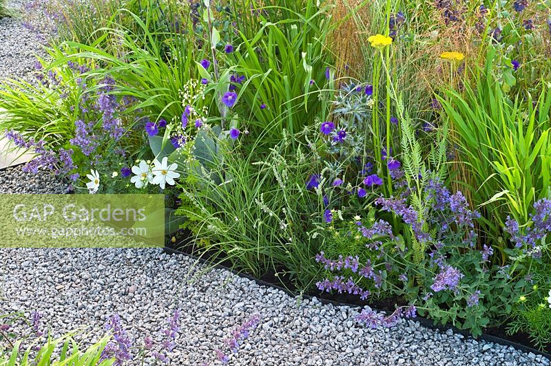 Contemporary garden with gravel path and colourful summer border of yellow, blue and white flowers. Designers: Catherine Chenery Barbara Harfleet