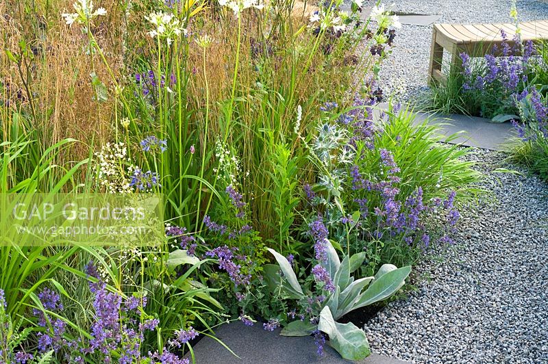 Contemporary garden with gravel path and grasses Designers: Catherine Chenery Barbara Harfleet