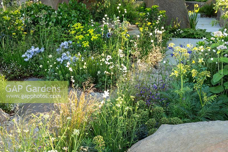 Woodland style planting in The M and G Garden, RHS Chelsea Flower Show 2016. Designer Cleve West. Gold Medal winner