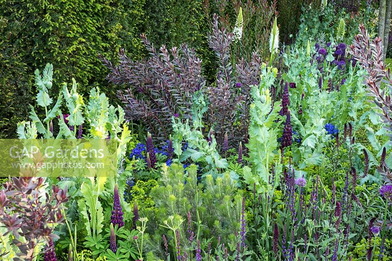 Support, The Husqvarna Garden. RHS Chelsea Flower Show 2016. Designer: Charlie Albone.