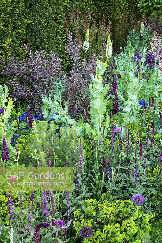 Support, The Husqvarna Garden. RHS Chelsea Flower Show 2016. Designer: Charlie Albone.