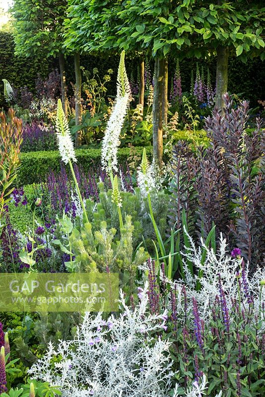 Planting combination in Support, The Husqvarna Garden. Designer: Charlie Albone. RHS Chelsea Flower Show