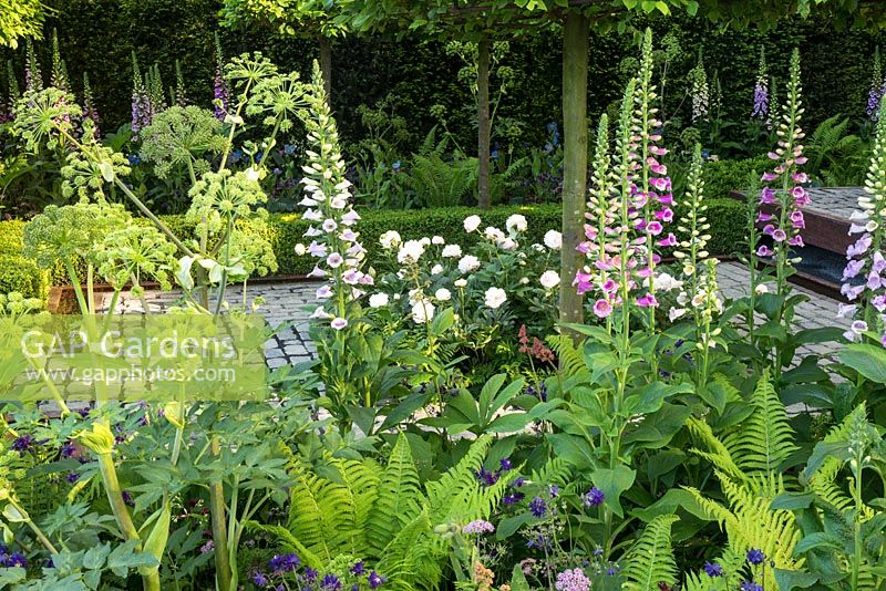 Foxgloves, Ferns and Peonies in Support, The Husqvarna Garden. Designer: Charlie Albone. RHS Chelsea Flower Show