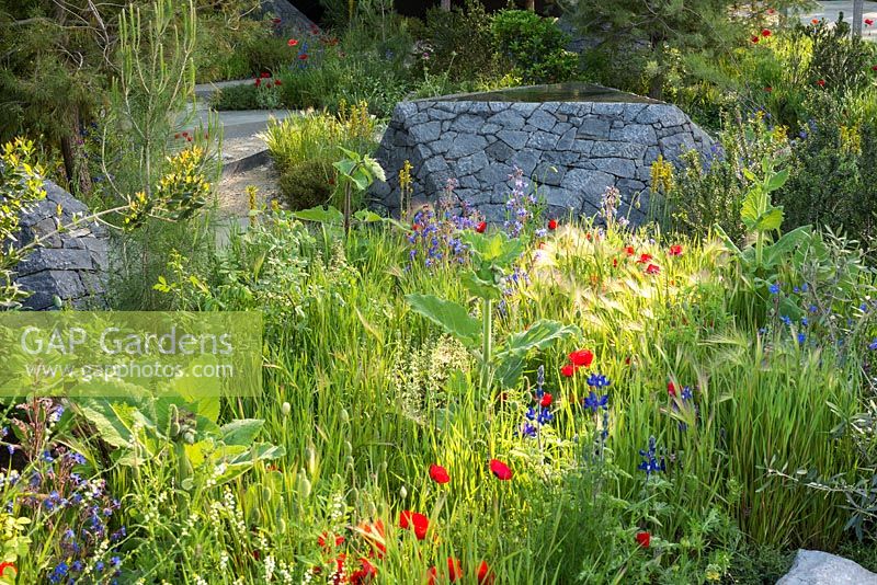The Royal Bank of Canada Garden at the RHS Chelsea Flower Show 2016. Designer: Hugo Bugg. Sponsor: 