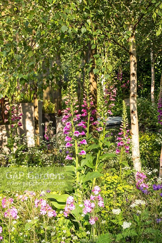 The Hartley Botanic Garden at the RHS Chelsea Flower Show 2016. Designer: Catherine MacDonald. Sponsor: Hartley Botanic. Awarded