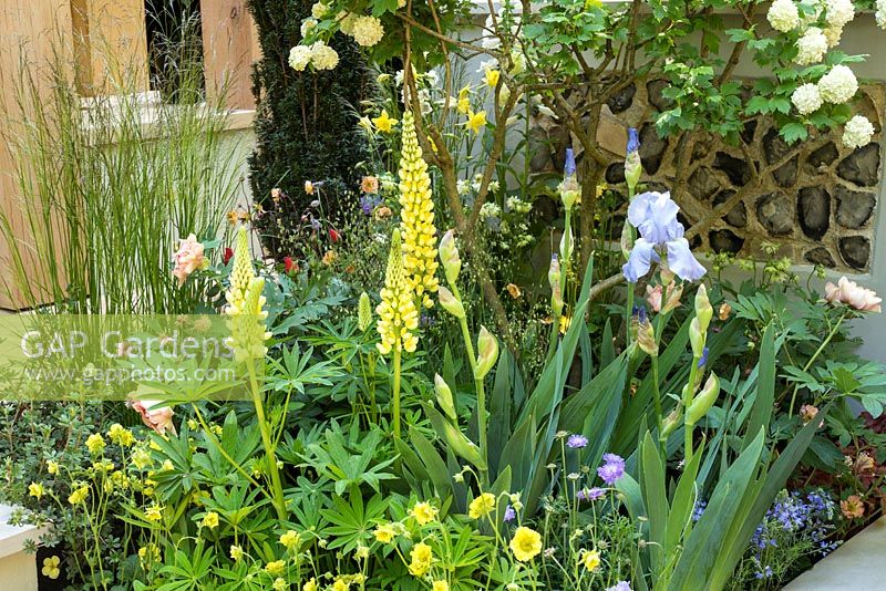Pro Corda Trust - A Suffolk Retreat garden at the RHS Chelsea Flower Show 2016. Designer: Frederic Whyte. Credit © Rob Whitworth
