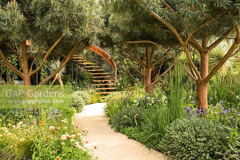 The Winton Beauty of Mathematics Garden, RHS Chelsea Flower Show 2016. Designer Nick Bailey.Plants showing mathematical patterns
