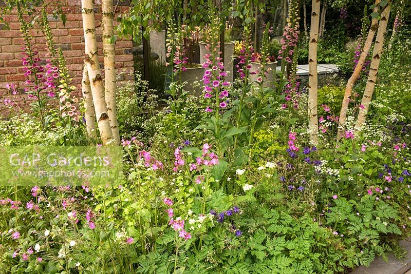 The Hartley Botanic Garden at the RHS Chelsea Flower Show 2016. Designer: Catherine MacDonald. Sponsor: Hartley Botanic.