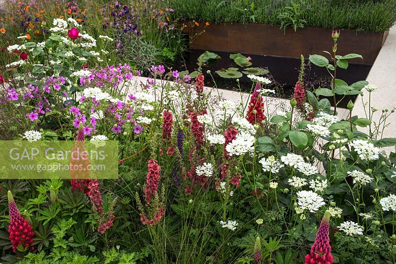RHS Greening Grey Britain For Health, Happiness and Horticulture at the RHS Chelsea Flower Show 2016. Designer: Ann-Marie Powell