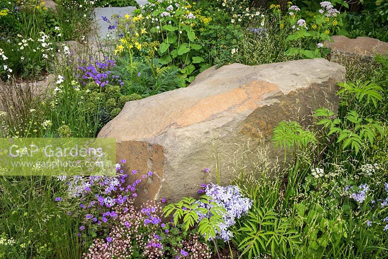 Woodland planting and sandstone boulders in The M and G Garden, RHS Chelsea Flower Show 2016. Designer Cleve West. Gold Medal winner