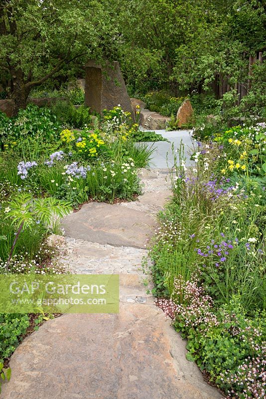 Stone and gravel path leading through woodland planting. The M and G Garden, RHS Chelsea Flower Show 2016. Designer Cleve West.