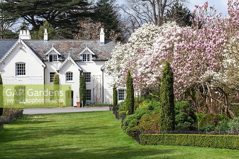 Magnolia Avenue in front of Jermyn's House at the Sir Harold Hillier Gardens, Hampshire, UK