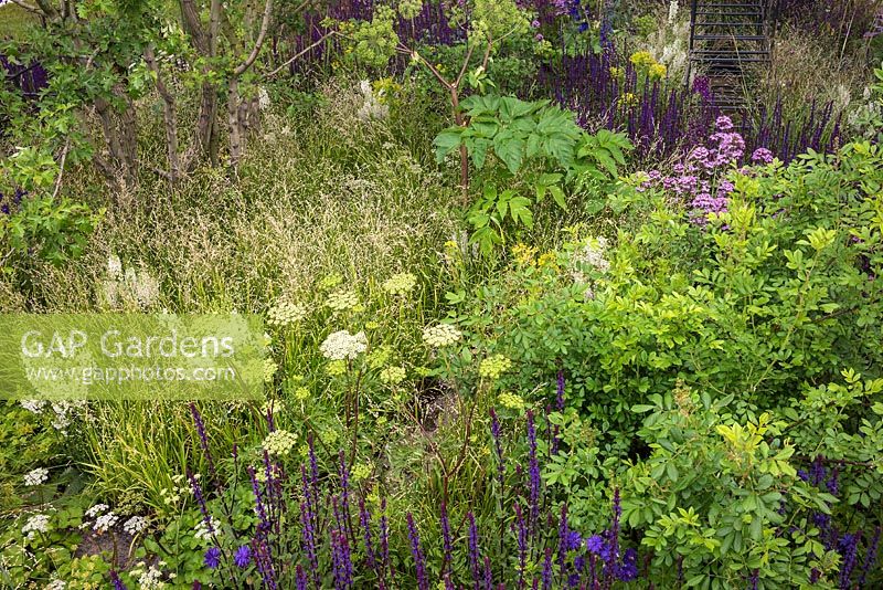 The Breaking Ground garden at the RHS Chelsea Flower Show 2017. Sponsor: Darwin Property Investment Management Ltd. Designers: Andrew Wilson and Gavin