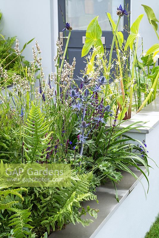 The Urban Rain Garden at the RHS Hampton Court Flower Show 2017. Designer: Rhiannon Williams. Sponsors: Landform Consultants, Squires Garden Centres, 