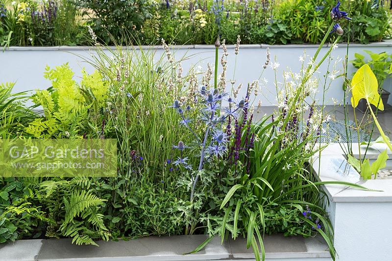 The Urban Rain Garden at the RHS Hampton Court Flower Show 2017. Designer: Rhiannon Williams. Sponsors: Landform Consultants, Squires Garden Centres, 