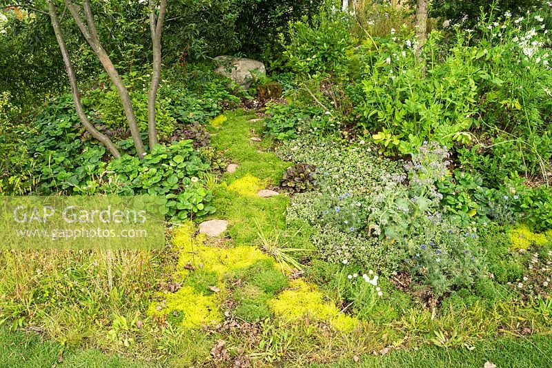 The London Glades garden at the RHS Hampton Court Flower Show 2017. Designers: Andreas Christodoulou and Jonathan Davies. Awarded a Gold Medal.