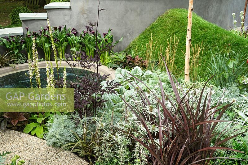 The On the Edge: The Centre for Mental Health Garden at the RHS Hampton Court Flower Show 2017. Designer: Frederic Whyte. Sponsors: Benton Landscapes,