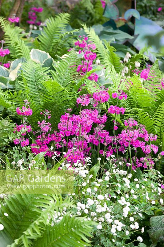 Perennial garden in white and pink color tones