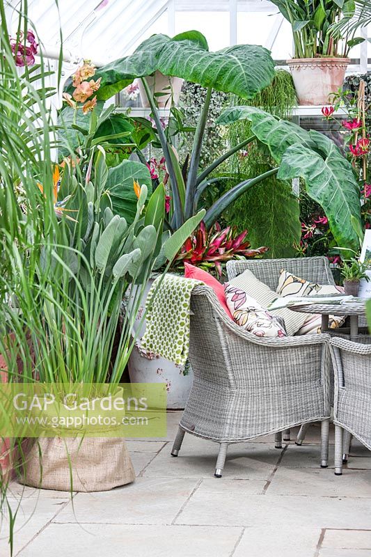 Winter garden with exotic plants