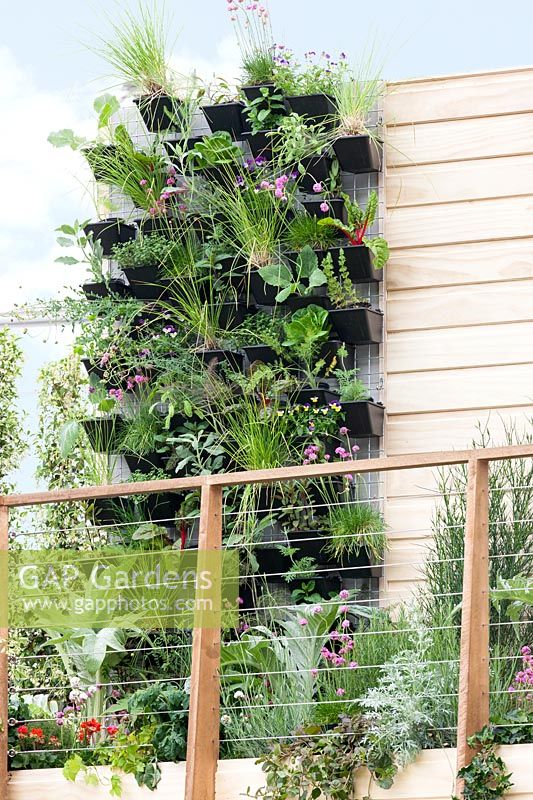Living wall with herbs and vegetable plants
