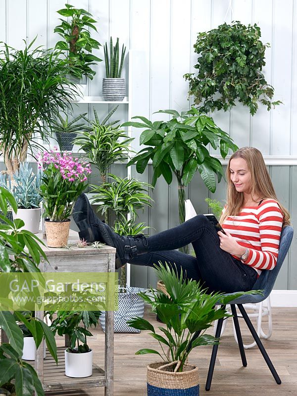 Indoor plant mix with young woman