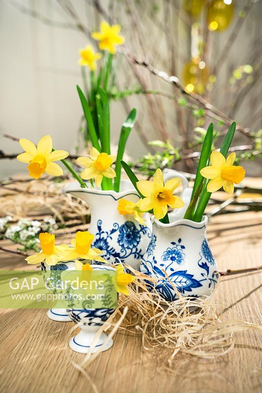 Decoration with Narcissus Tete-a-Tete