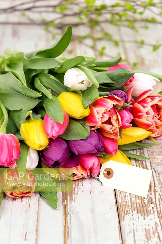 Impression with bouquet of tulips