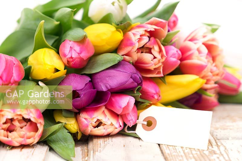 Impression with bouquet of tulips