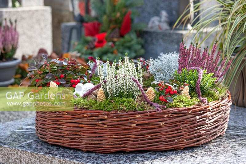 Planted basket for grave decoration