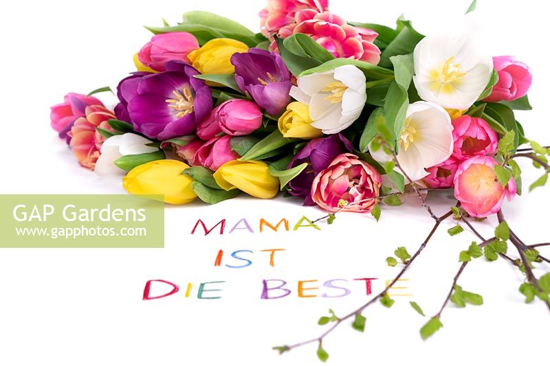 Mothers Day decoration with tulips