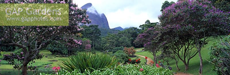 Monteiro Garden Brazil designed by Roberto Burle Marx