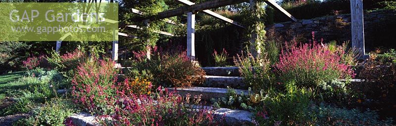 Arbour and Steps with Agastache at Chanticleer Gardens, PA, USA
