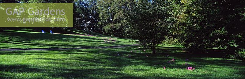 View to the Colchicum Hill with blue New England chairs at Chanticleer Garden, USA