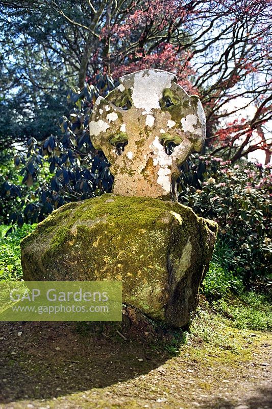 Celtic cross. Flowering Camellia & Rhododendrons. Pencarrow, Cornwall Paths & woodland.