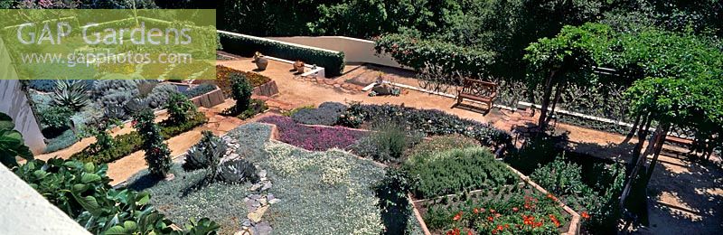 Contemporary garden  succulents drought tolerant planting patterns Valentine Garden California designed by Isabelle Greene