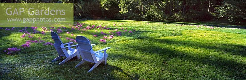 View of Colchicum Hill with blue New England Chairs at Chanticleer Garden, USA