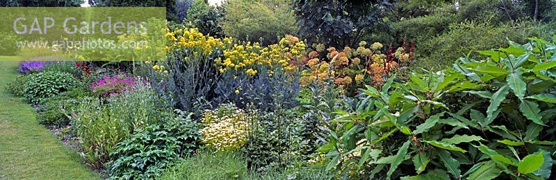 Mixed planting at Beth Chatto's garden, Elmstead Market, Essex, England