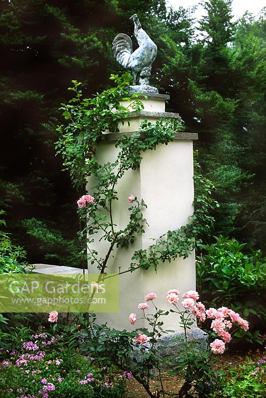 Roses around pillar. Cockerel gate post at Chanticleer Garden, Wayne, Pennsylvania, USA.