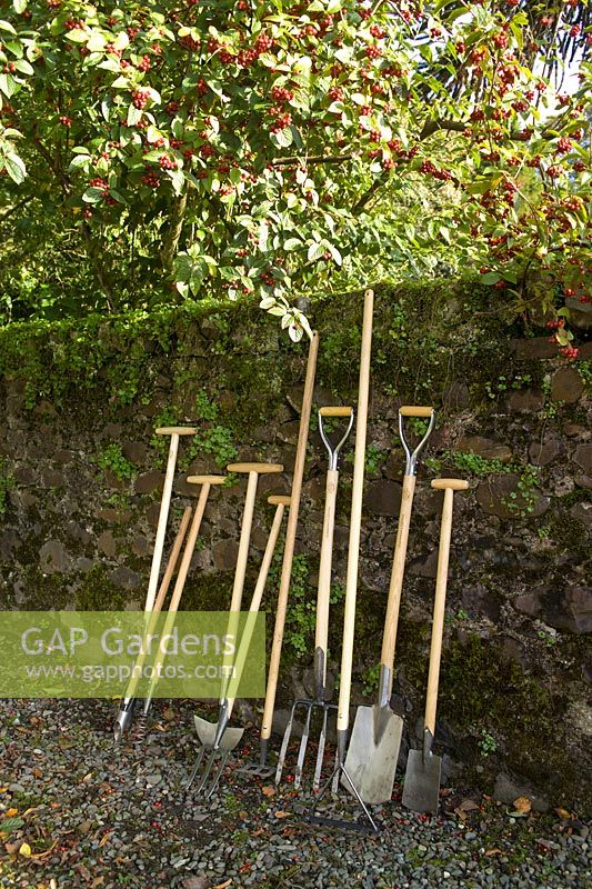 Line up of De Wit garden tools against a stone wall