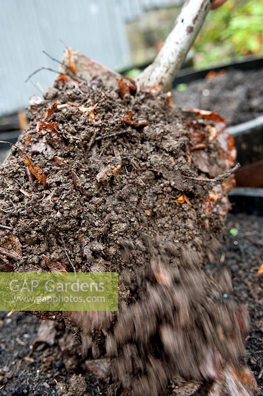 Shoveling leaf mould compost into a container