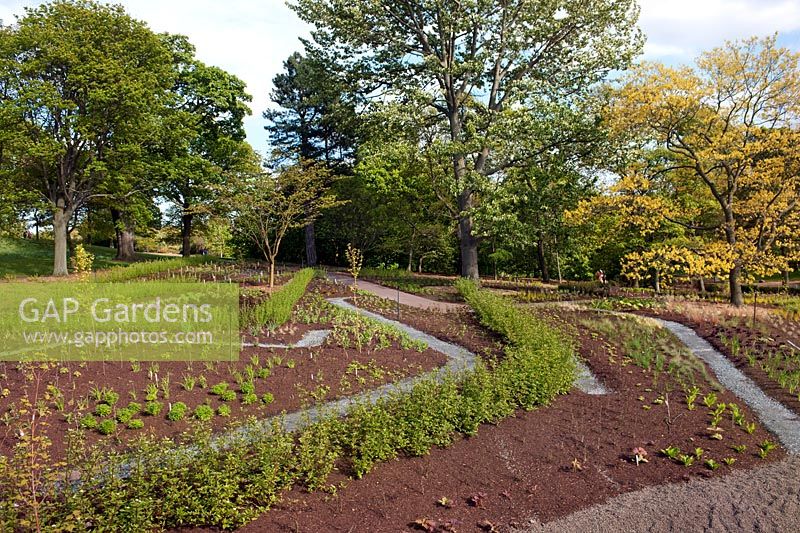 Newly planted borders with paths at the John Hope Gateway visitor centre, RBG Edinburgh, Scotland